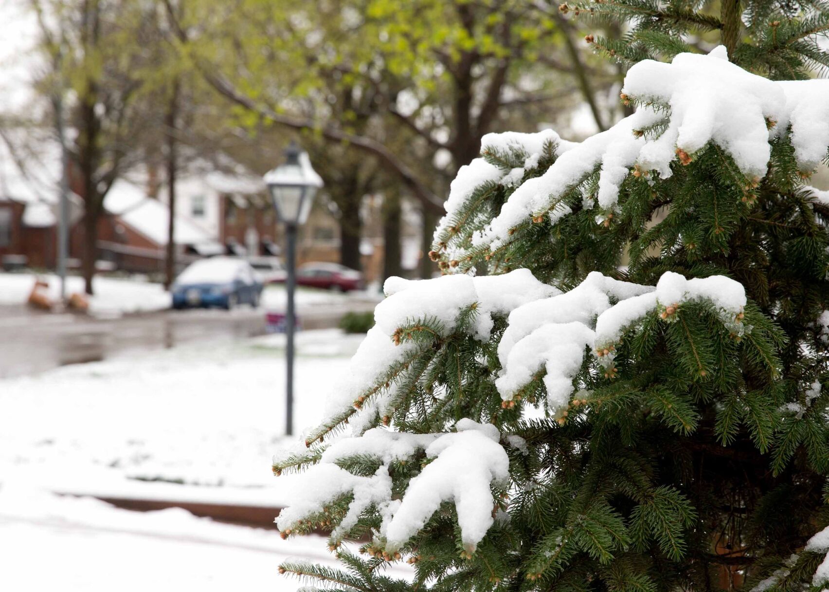 504684 SNOW
